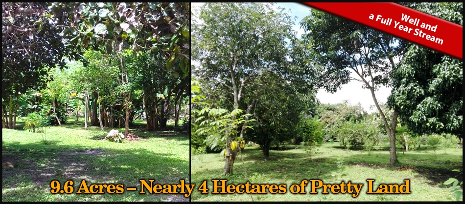 House & Guest House on 4 Hectares (10 Acres) For Sale Near David, Panama