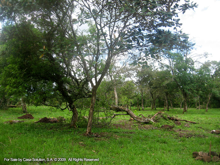 modified 10 hectares - 27 acres plus in La Tranca, Alto Boquete - Riverfront
