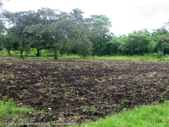 modified 10 hectares - 27 acres plus in La Tranca, Alto Boquete - Riverfront photo 2