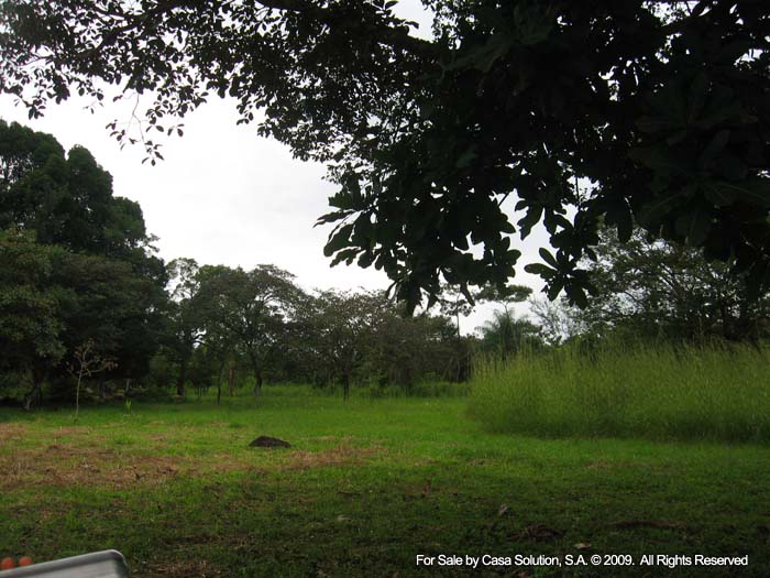 modified 10 hectares - 27 acres plus in La Tranca, Alto Boquete - Riverfront photo 3