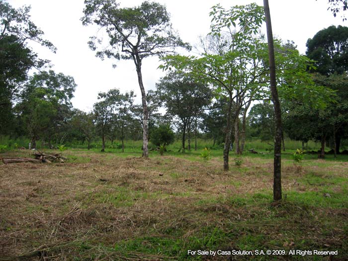modified 10 hectares - 27 acres plus in La Tranca, Alto Boquete - Riverfront photo 4