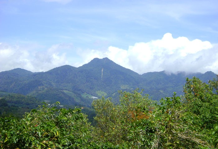 Magnificent Coffee Farm Property in Prime Volcancito, Boquete – Magnifica Finca de Café en Volcancito, Boquete photo 4