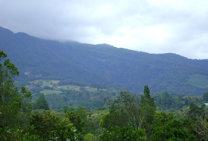Magnificent Coffee Farm Property in Prime Volcancito, Boquete – Magnifica Finca de Café en Volcancito, Boquete photo 5
