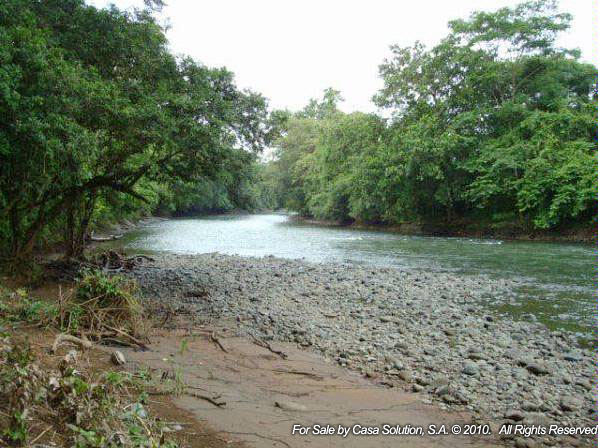 withdrawn Done - Cattle and Horse Farm of 57 hectares photo 2