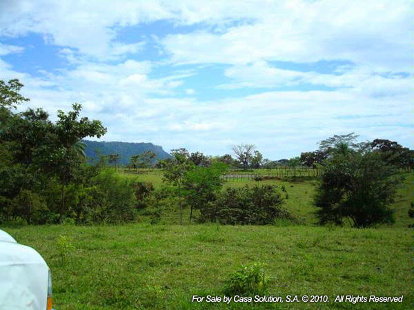 withdrawn Done - Cattle and Horse Farm of 57 hectares photo 10