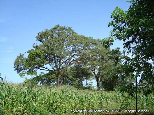 withdrawn Done - Cattle and Horse Farm of 57 hectares photo 3