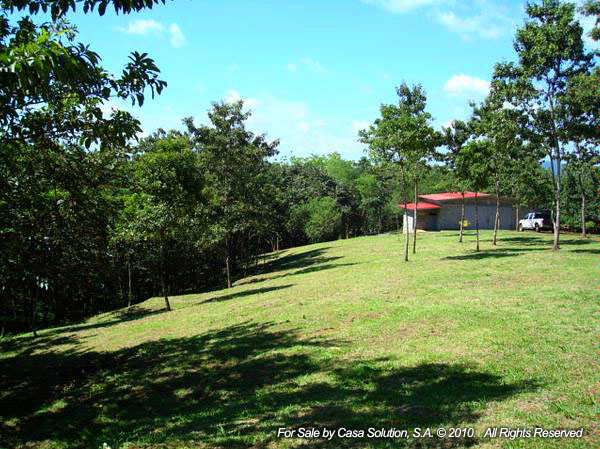 withdrawn Done - Cattle and Horse Farm of 57 hectares photo 4