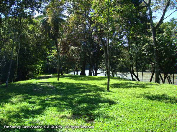 withdrawn Done - Cattle and Horse Farm of 57 hectares photo 5