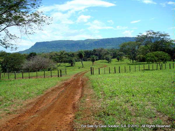 withdrawn Done - Cattle and Horse Farm of 57 hectares