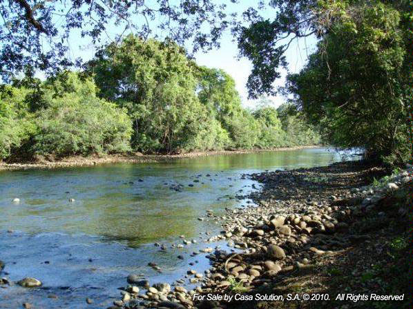 withdrawn Done - Cattle and Horse Farm of 57 hectares photo 7
