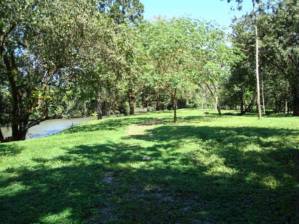 withdrawn Done - Cattle and Horse Farm of 57 hectares photo 8