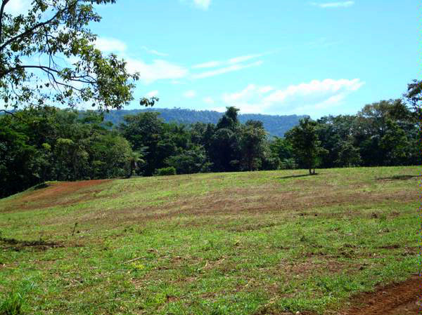 withdrawn Done - Cattle and Horse Farm of 57 hectares photo 9