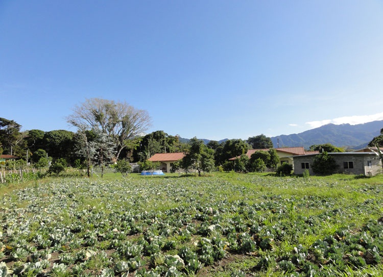 SOLD d dataloss photos Beautiful Lot with great views in Volcancito, Boquete