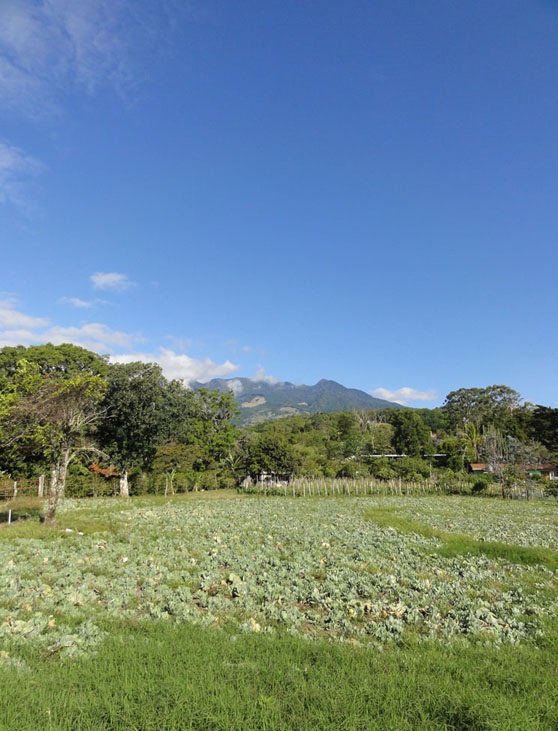 SOLD d dataloss photos Beautiful Lot with great views in Volcancito, Boquete photo 6
