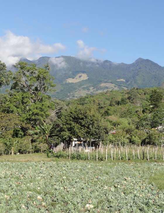 SOLD d dataloss photos Beautiful Lot with great views in Volcancito, Boquete photo 7