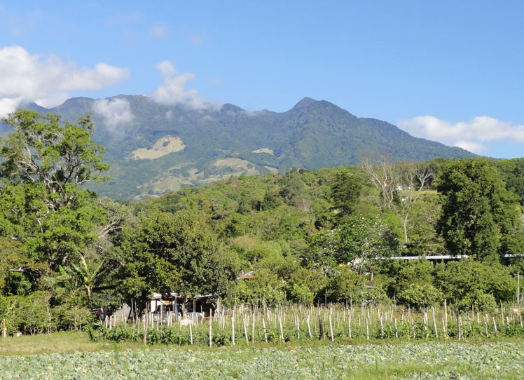 SOLD d dataloss photos Beautiful Lot with great views in Volcancito, Boquete photo 11
