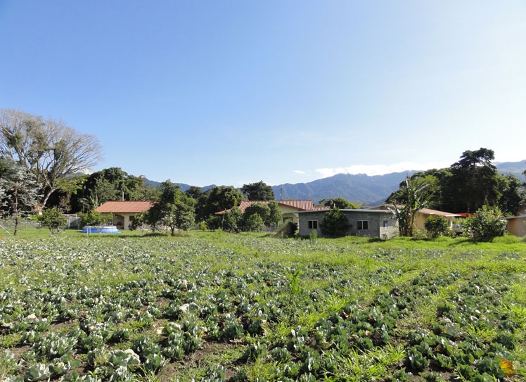 SOLD d dataloss photos Beautiful Lot with great views in Volcancito, Boquete photo 12