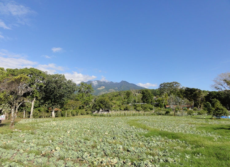 SOLD d dataloss photos Beautiful Lot with great views in Volcancito, Boquete photo 3