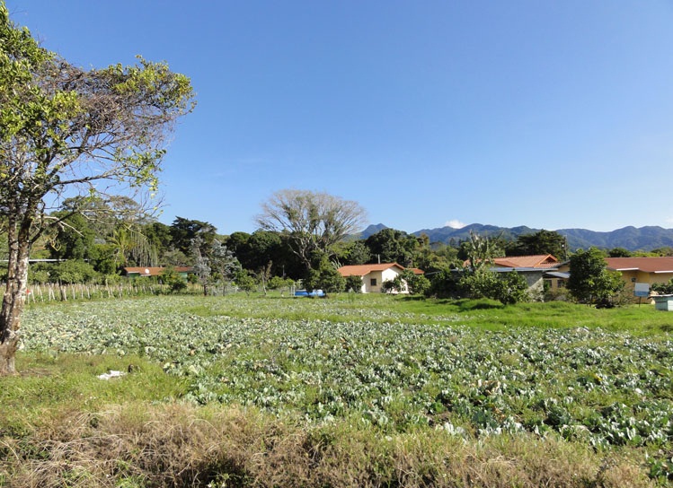 SOLD d dataloss photos Beautiful Lot with great views in Volcancito, Boquete photo 4