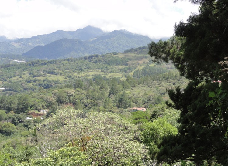 smaller parcel withdrawn Great Price! Ideal Building Site Property at a Great Price in Jaramillo, Boquete photo 4