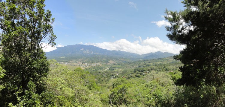 smaller parcel withdrawn Great Price! Ideal Building Site Property at a Great Price in Jaramillo, Boquete photo 5