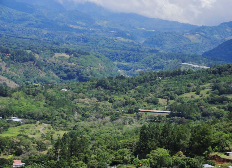 smaller parcel withdrawn Great Price! Ideal Building Site Property at a Great Price in Jaramillo, Boquete photo 8