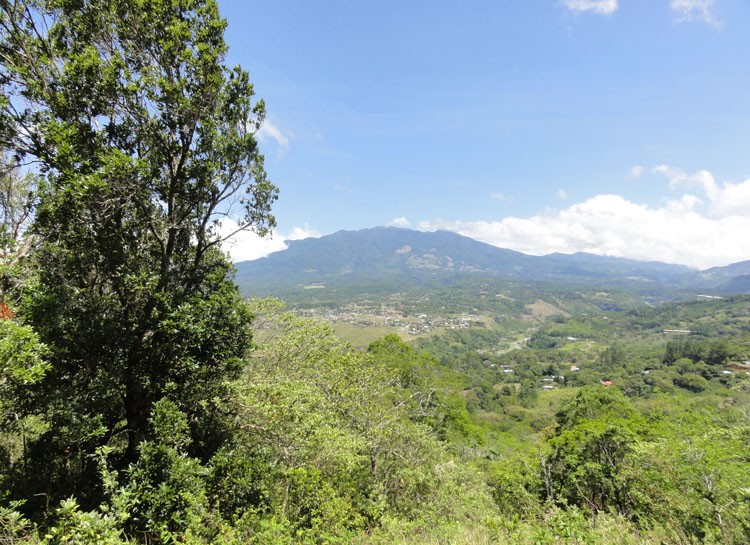 smaller parcel withdrawn Great Price! Ideal Building Site Property at a Great Price in Jaramillo, Boquete photo 6