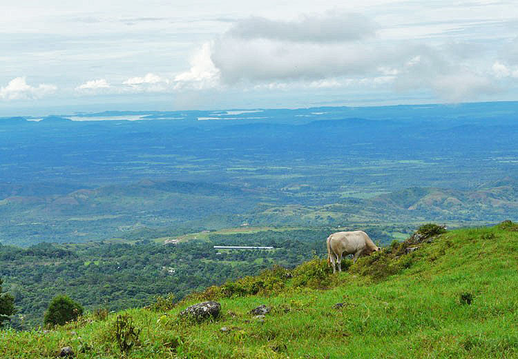 Sold by Owner - 40 hectare View Property in Jaramillo Arriba, Boquete