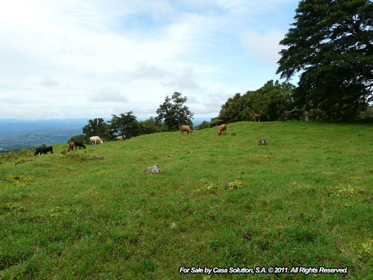 Sold by Owner - 40 hectare View Property in Jaramillo Arriba, Boquete photo 2
