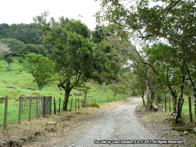 Sold by Owner - 40 hectare View Property in Jaramillo Arriba, Boquete photo 3