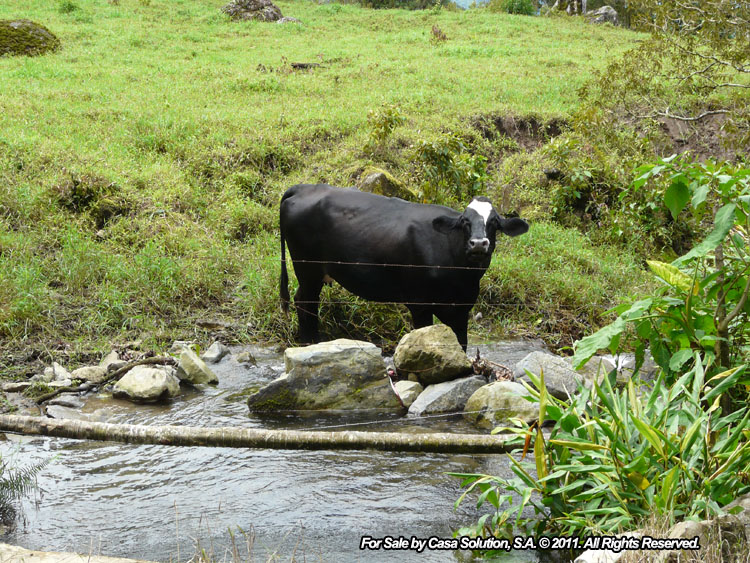 Sold by Owner - 40 hectare View Property in Jaramillo Arriba, Boquete photo 4
