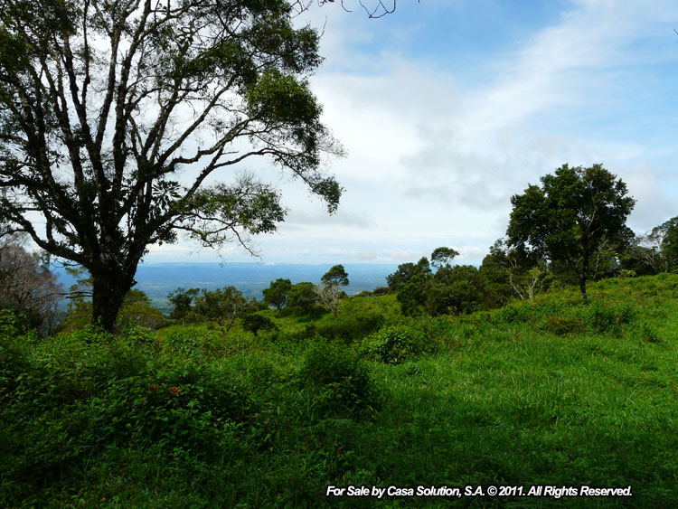 Sold by Owner - 40 hectare View Property in Jaramillo Arriba, Boquete photo 5