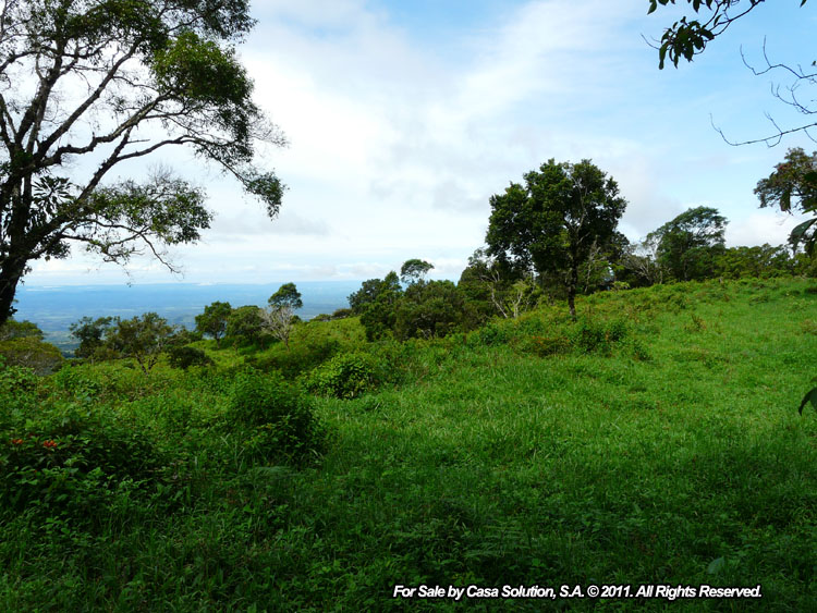 Sold by Owner - 40 hectare View Property in Jaramillo Arriba, Boquete photo 7