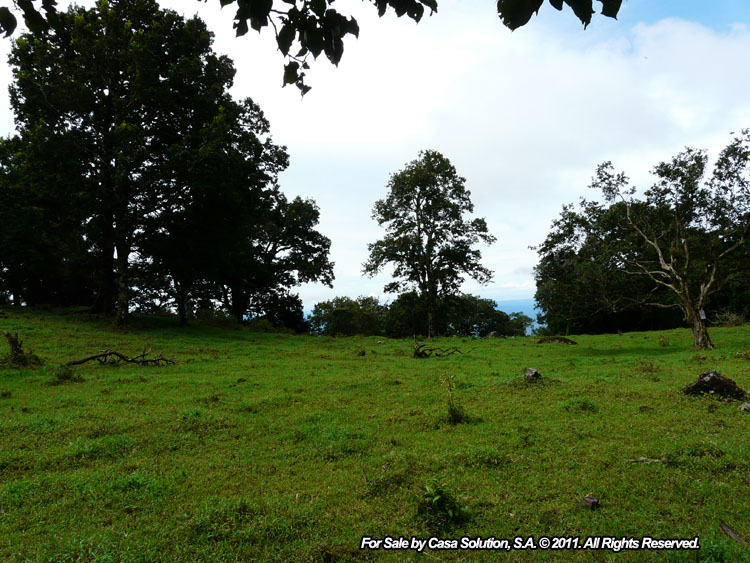 Sold by Owner - 40 hectare View Property in Jaramillo Arriba, Boquete photo 8