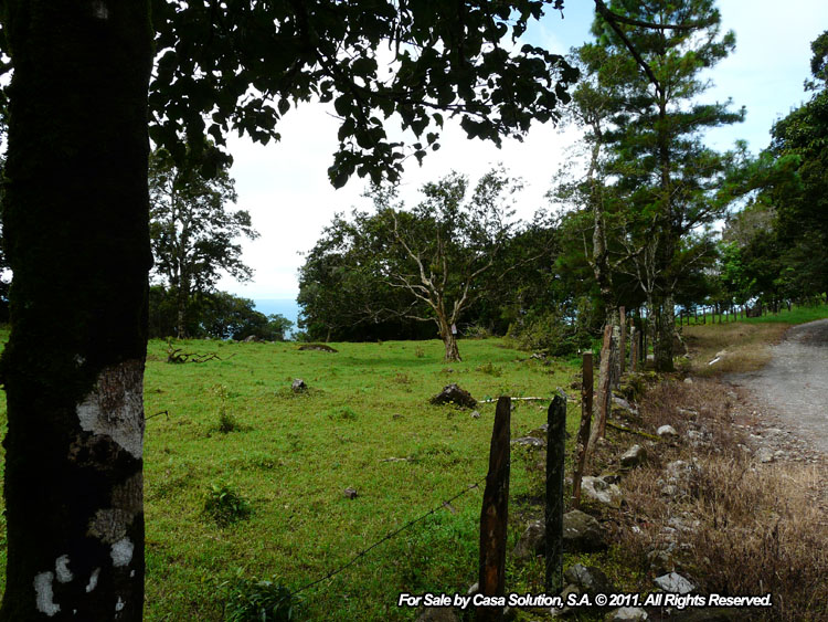Sold by Owner - 40 hectare View Property in Jaramillo Arriba, Boquete photo 9