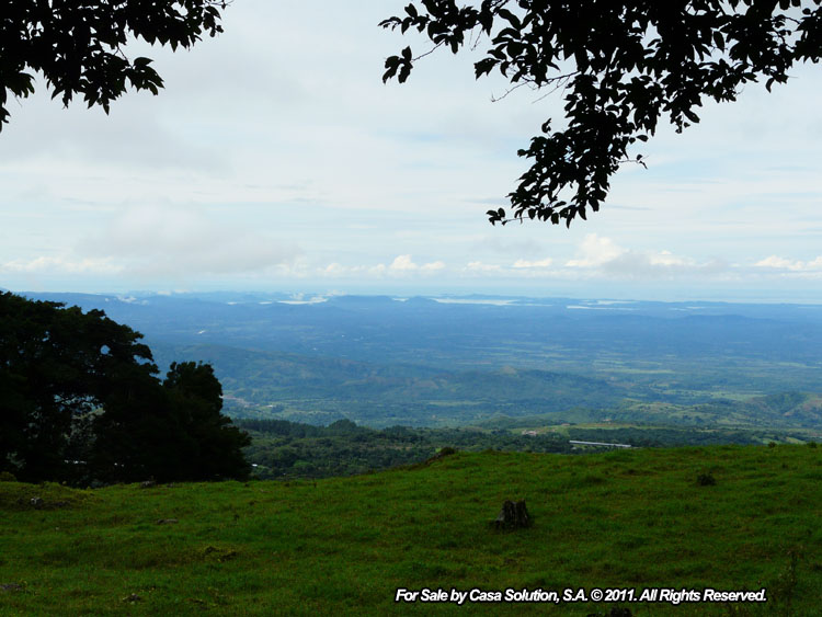 Sold by Owner - 40 hectare View Property in Jaramillo Arriba, Boquete photo 10