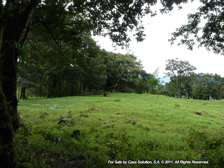 Sold by Owner - 40 hectare View Property in Jaramillo Arriba, Boquete photo 11