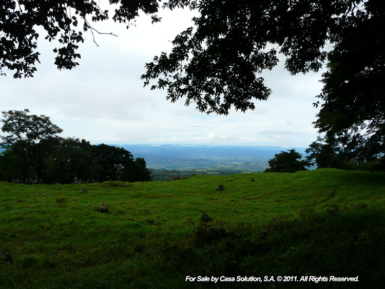 Sold by Owner - 40 hectare View Property in Jaramillo Arriba, Boquete photo 12