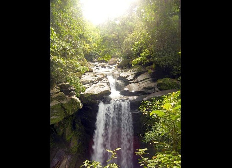 Huge Price Reduction! Eco Resort in Mountain Cloud Forest – Fully Operating – Eco Resort en el bosque nuboso de montaña – en pleno funcionamiento photo 2