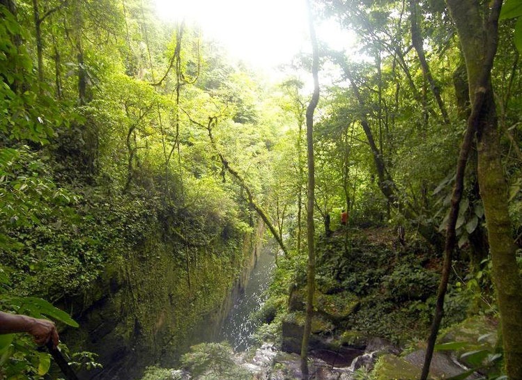 Huge Price Reduction! Eco Resort in Mountain Cloud Forest – Fully Operating – Eco Resort en el bosque nuboso de montaña – en pleno funcionamiento photo 3
