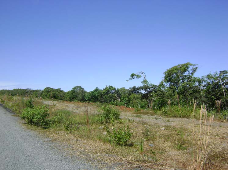 Expansive Property in Jaramillo, Boquete on newly paved road (Or choose your size) photo 3