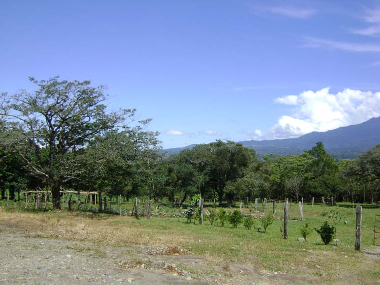 Expansive Property in Jaramillo, Boquete on newly paved road (Or choose your size) photo 5