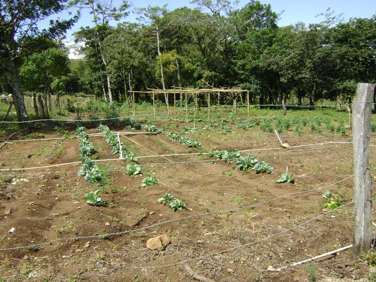 Expansive Property in Jaramillo, Boquete on newly paved road (Or choose your size) photo 6