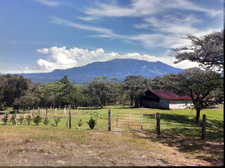 Expansive Property in Jaramillo, Boquete on newly paved road (Or choose your size)
