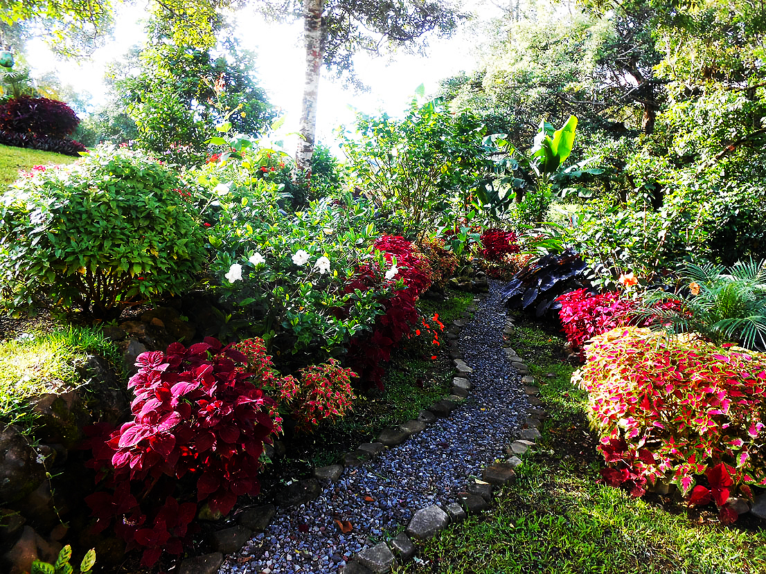 Incredible Volcancito, Boquete, Panama Residence for Sale photo 10