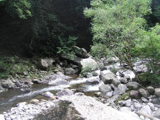 pocket T - Enormous Mountain Property for Sale Close to Downtown Boquete, Panama - 1,250 acres photo 5