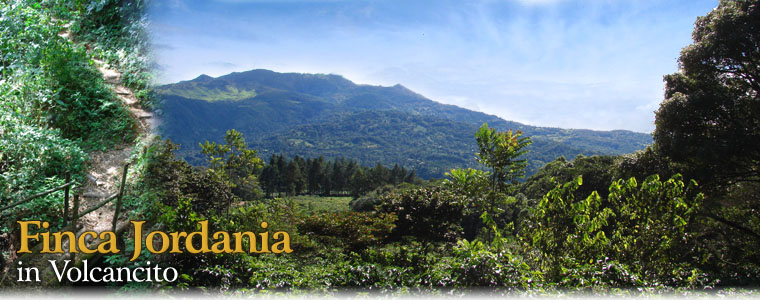 Incredible 1 hectare lot in prime Volcancito, Boquete neighborhood
