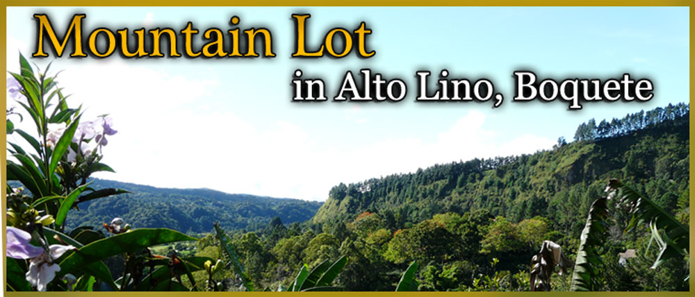 Back on the Market – Mountain Lot in Alto Lino, Boquete
