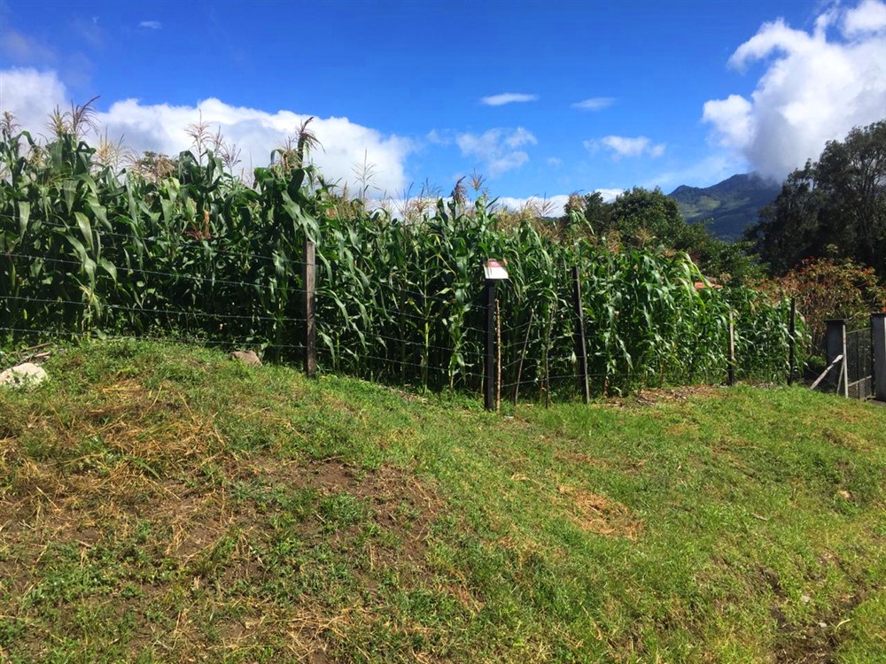Lot for Sale in a Very Pretty Area of Volcancito, Boquete, Panama photo 4