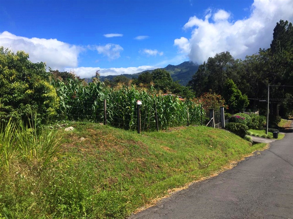 Lot for Sale in a Very Pretty Area of Volcancito, Boquete, Panama photo 5